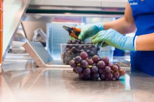 aziende di produzione ed export di prodotti ortofrutticoli tipici della Puglia 03