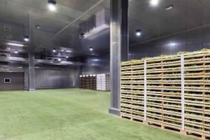 aziende di produzione ed export di prodotti ortofrutticoli tipici della Puglia 06