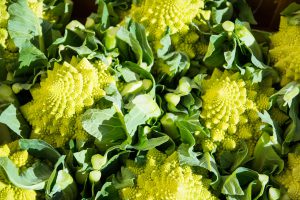 cavolo romanesco - prodotti ortofrutticoli puglia