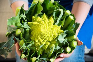 cavolo romanesco - prodotti ortofrutticoli puglia