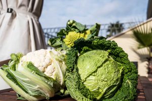 verze, cavolo romanesco, cavolfiori - prodotti ortofrutticoli puglia