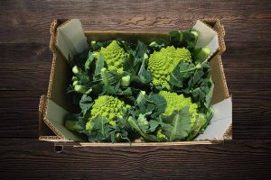 broccoli