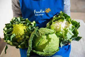 cavolfiori e verze - prodotti ortofrutticoli puglia