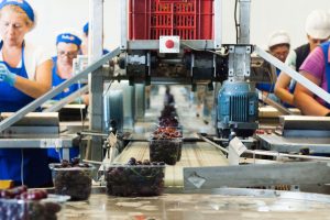 azienda prodotti ortofrutticoli