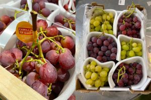 azienda leader produzione export uva da tavola